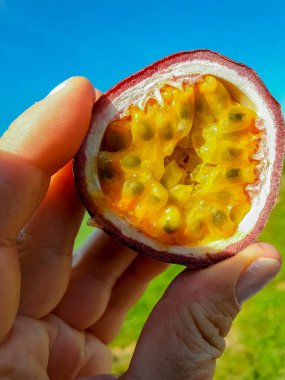 Tutku meyveleri ellerindedir..