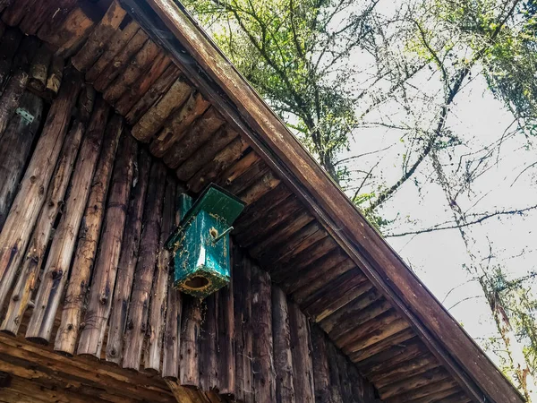 屋根の下に緑の古い鳥の家がぶら下がっている — ストック写真