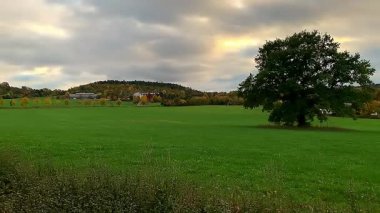 Parkın güzel manzarası