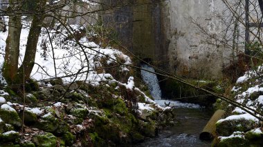 Ormandaki eski taş merdivenler.