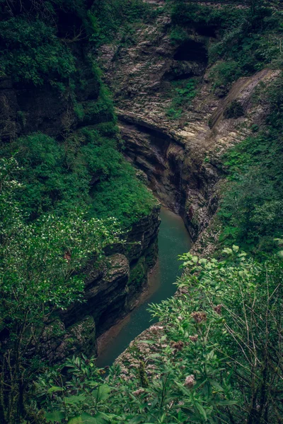 Guam gorge vahşi doğa içine