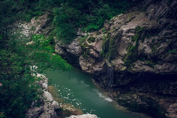 Guam gorge vahşi doğa içine
