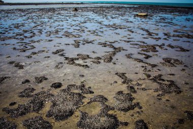 Alçak gelgit San Antonio Oeste plajı Las Grutas Patagonya Arjantin
