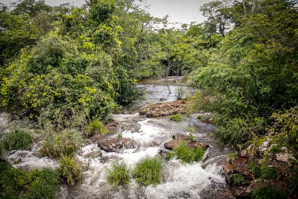 Argentinischer Iguazu-Nationalpark, Wasserfälle und Tierwelt — Stockfoto