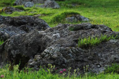 Rocas en mitad del campo.