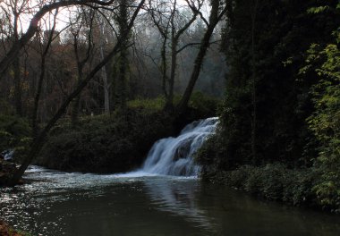 Bitkilerle çevrili bir şelale. 