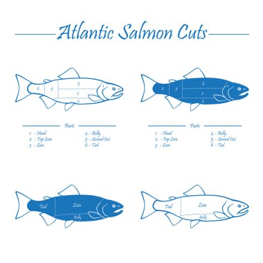 Atlantik somon kesim diyagramı