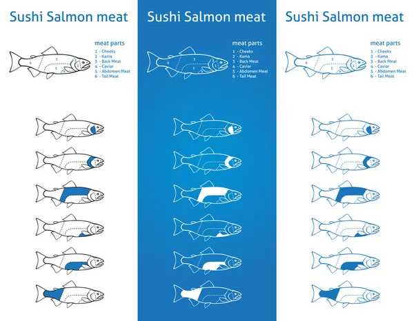 Diagram daging salmon Sushi - Stok Vektor