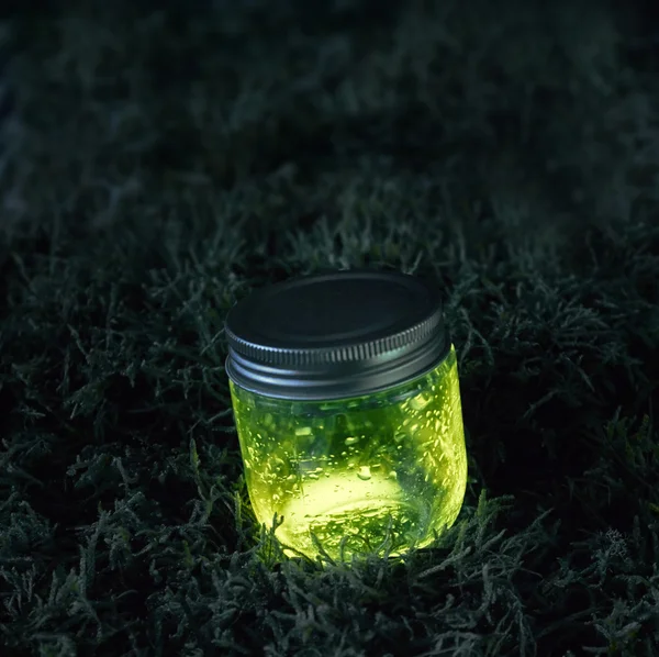 Glowing jar on the moss — Stock Photo, Image