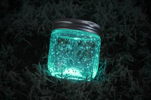 Blue glowing jar on the moss — Stock Photo, Image