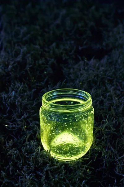 Glowing jar on the moss — Stock Photo, Image