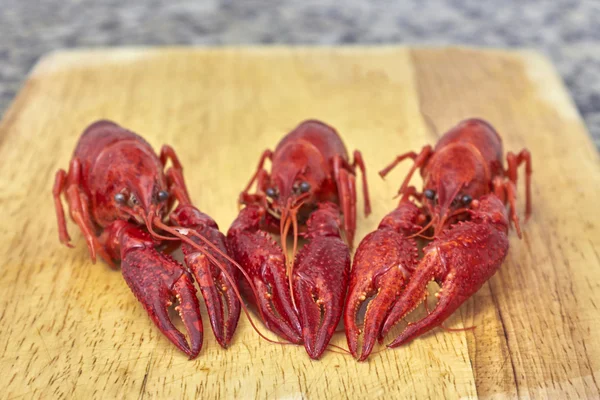 Red lobster on cutting board — Stock Photo, Image