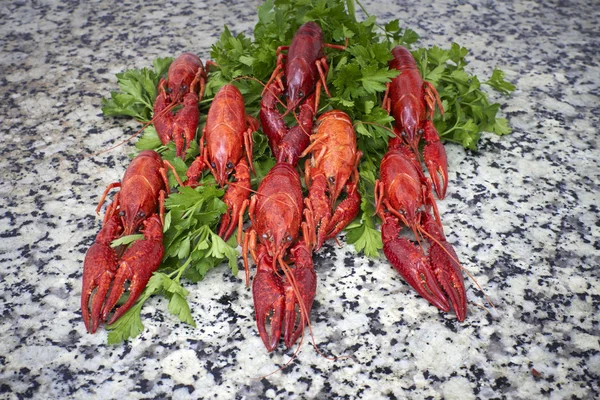 Red river crayfish on green parsley — Stock Photo, Image