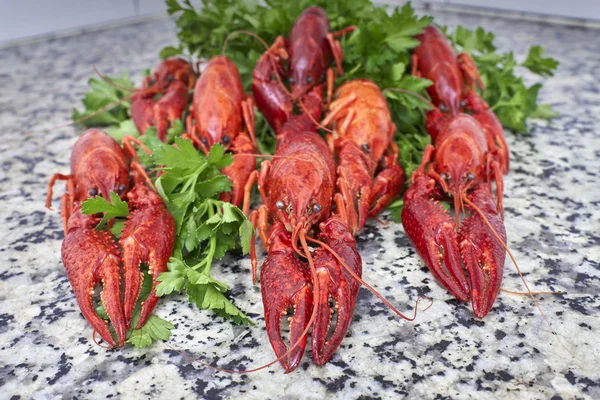 Red river crayfish on green parsley closeup — Stock Photo, Image