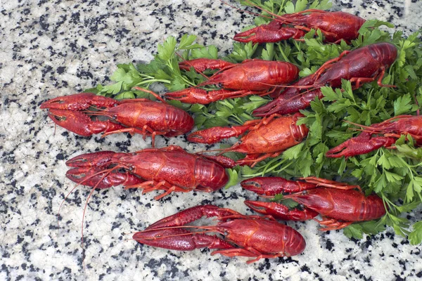 Red river crayfish on green parsley top view — Stock Photo, Image