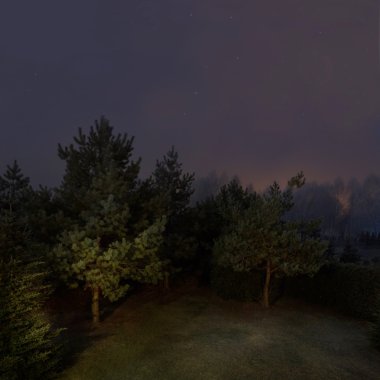 Karanlık gece orman manzarası