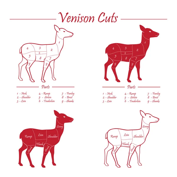 Esquema de diagrama de corte de carne de veado - quadro negro —  Vetores de Stock