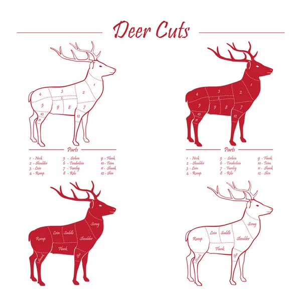 Herten vlees snijden sheme - elementen op wit rood — Stockvector