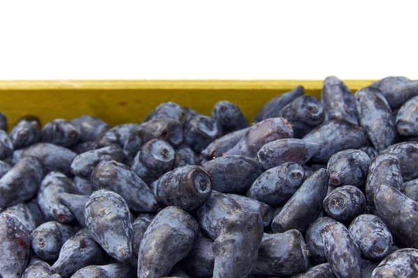 Kamperfoelie blauwe bessen vruchten in een houten doos close-up — Stockfoto