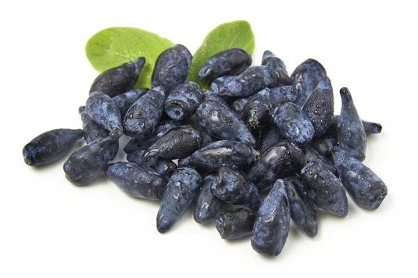 Kamperfoelie blauwe bessen vruchten op witte achtergrond — Stockfoto