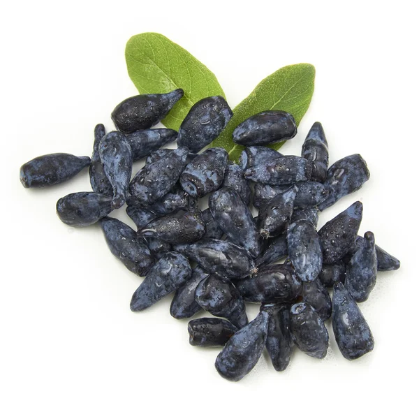 Kamperfoelie blauwe bessen vruchten op witte achtergrond — Stockfoto