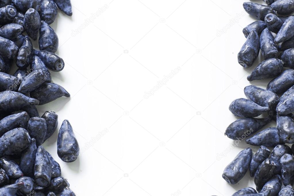 Honeysuckle blue berry fruits template
