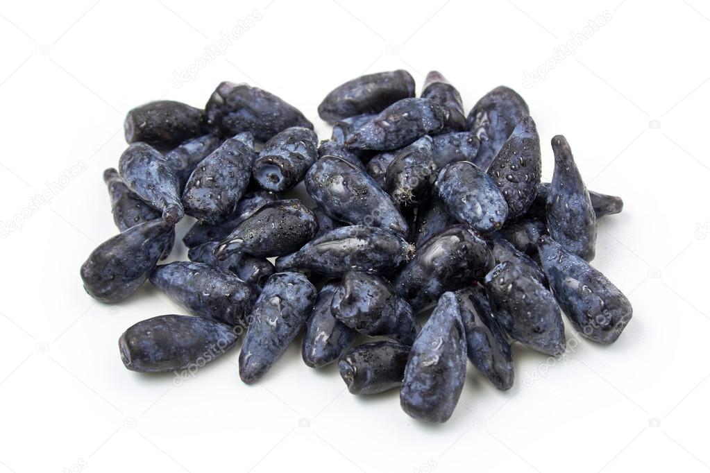 Honeysuckle blue berry fruits on white background