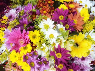 Beyaz telif alanı üzerinde renkli çiçek demeti, Sao Paulo, Brezilya                         