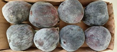 Karton kutuda taze incir, Sao Paulo, Brezilya