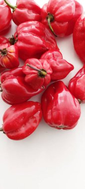 Habaneira biberi, Sao Paulo, Brezilya