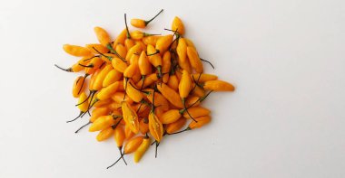 Fidalga biberi, Sao Paulo, Brezilya