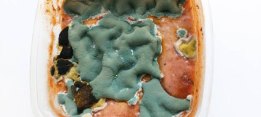 Mantar ve mantar domates sosu, arkaplan, Sao Paulo, Brezilya