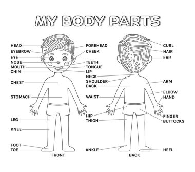 Parts of the body coloring pages for preschool