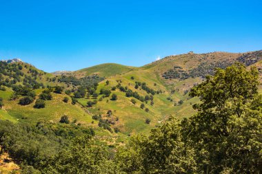 Taşları ve taşları olan yüksek yeşil dağ manzarası.