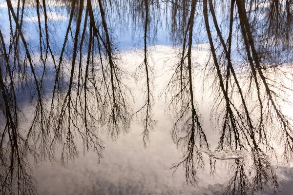 Reflet Des Arbres Dans Eau Une Rivière Ciel Nuageux Paysage — Photo