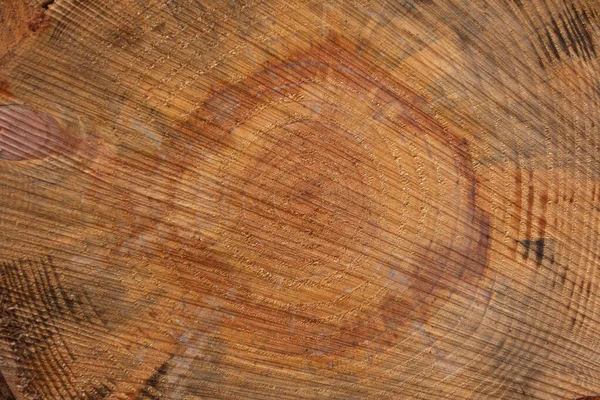 木の幹を切る 木の断面 ウッドだ 選択的焦点 — ストック写真