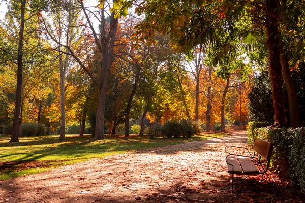 Paisagem Outono Com Banco Parque Com Árvores Com Folhas Douradas — Fotografia de Stock