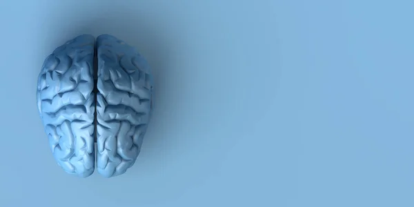 Mavi arka planda beyin. Yaratıcılık. 3d illüstrasyon.