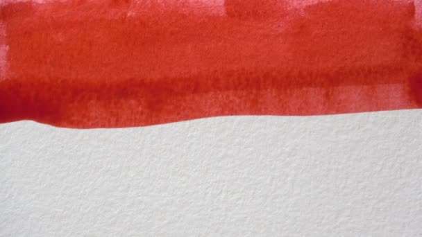 Peinture Personne Avec Pinceau Une Ligne Rouge Sur Toile Vide — Video