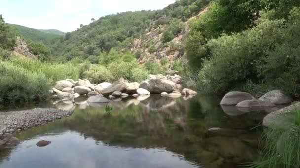 Paysage Une Rivière Avec Piscine Eau Naturelle — Video
