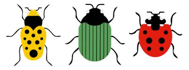 Bir grup böcek. Düz ve modern tasarım.