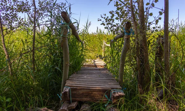 Drewniany Most Ukryty Wśród Roślinności — Zdjęcie stockowe