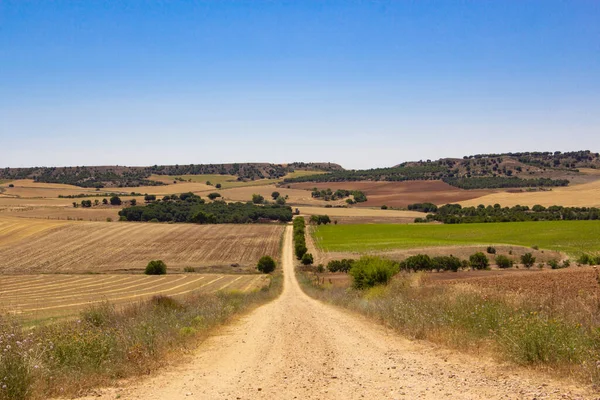 Estrada Areia Entre Campos Cultivo Agricultura — Fotografia de Stock