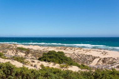 Sahil manzarası ince kum, berrak sular ve bitkilerle dolu. Kumullar. Bakire kumsalı.