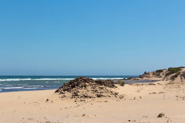 Krajobraz Plażowy Drobnym Piaskiem Czystymi Wodami Roślinami Wydmy Virgin Beach — Zdjęcie stockowe