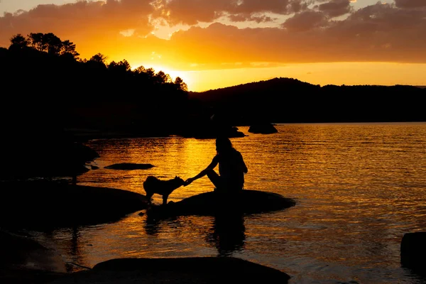 Silhueta Preta Menina Jovem Brincando Com Cão Pôr Sol Dourado — Fotografia de Stock