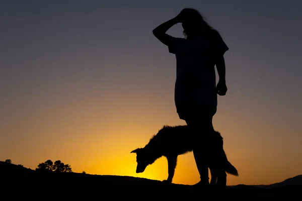 Silhueta Mulher Olhando Para Horizonte Lado Cão Pôr Sol Frente — Fotografia de Stock