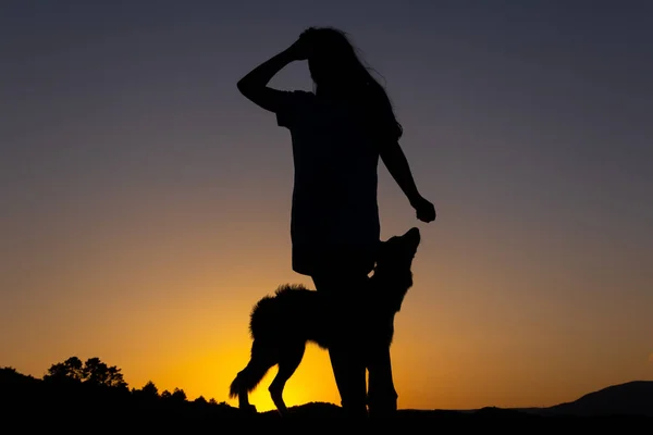 Silhueta Mulher Brincando Com Cachorro Pôr Sol Frente Lago Amor — Fotografia de Stock