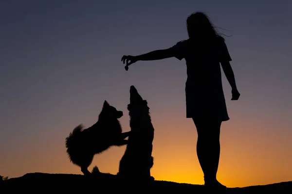 Silhueta Mulher Brincando Com Dois Cães Pôr Sol Frente Lago — Fotografia de Stock