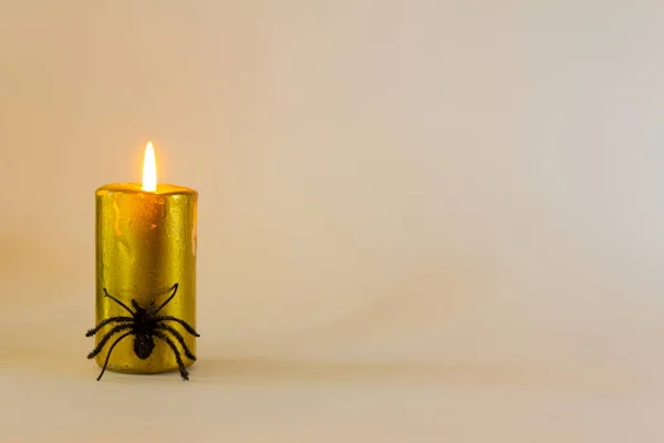 Golden Candle Spider Halloween Background Minimal Selective Focus Copy Space — Stock Photo, Image